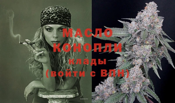 тгк Дмитров