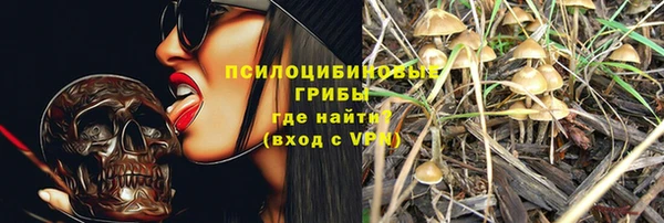 spice Елизово