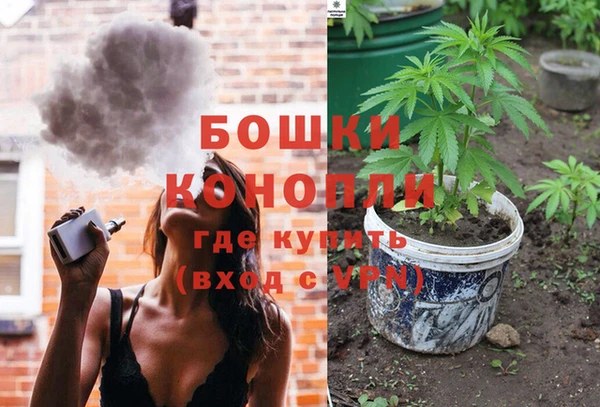 ешки Ельня