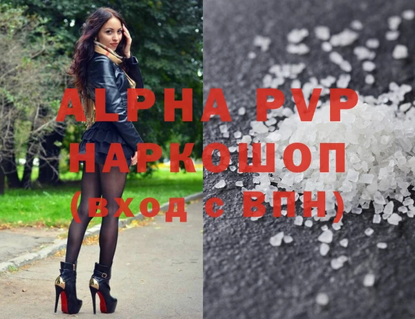 spice Елизово